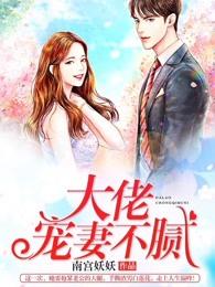 大佬宠妻不腻虐吗